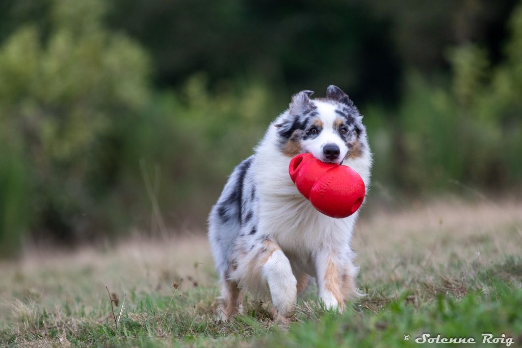 Tubullar bells dit mike du Duncallipsy