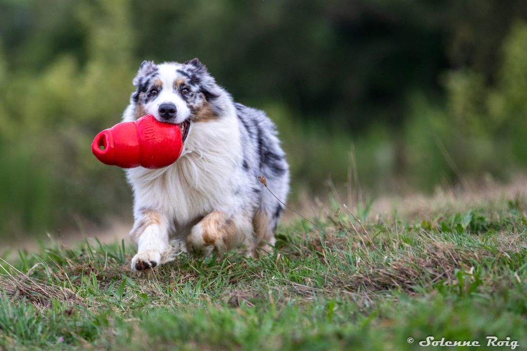 Tubullar bells dit mike du Duncallipsy