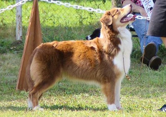 Freedom's flame of Sipawaban