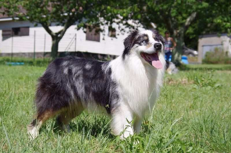 Haleakala kalanaku overlook of Sipawaban